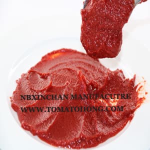 400g tomato paste canned 100_ purity